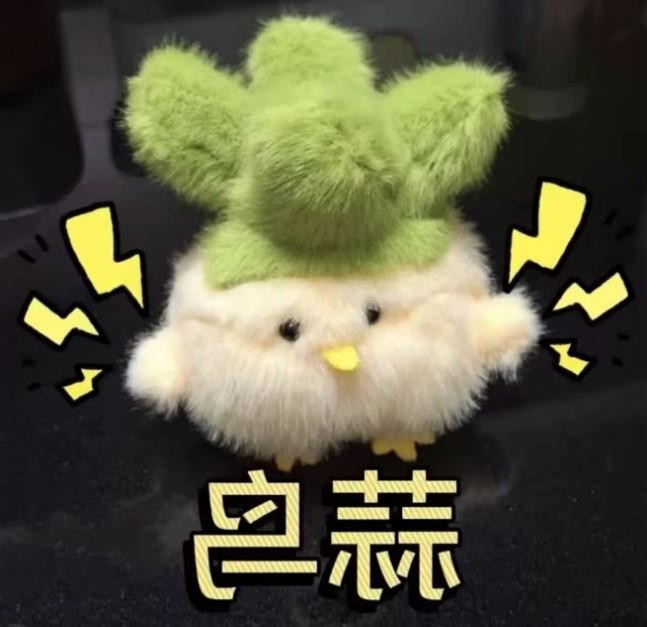 博彩app